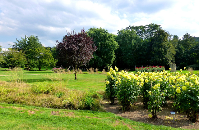 DE - Bad Neuenahr - Dahliengarten