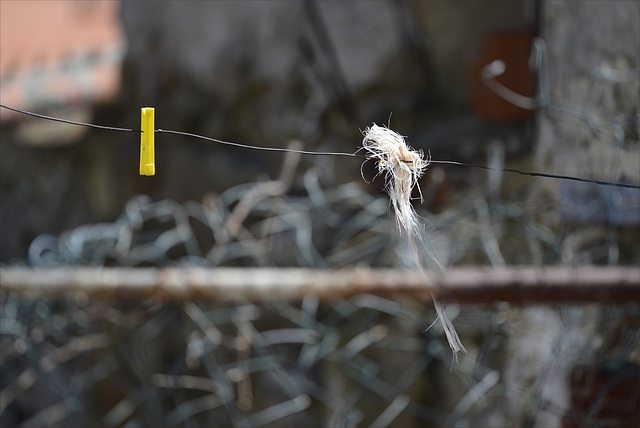 Penedos, Wire and remaining rope knot