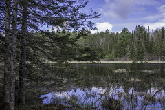 Beaver Pond Trail (© Buelipix)