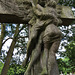 putney vale cemetery, london