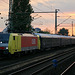 BÖ0000828