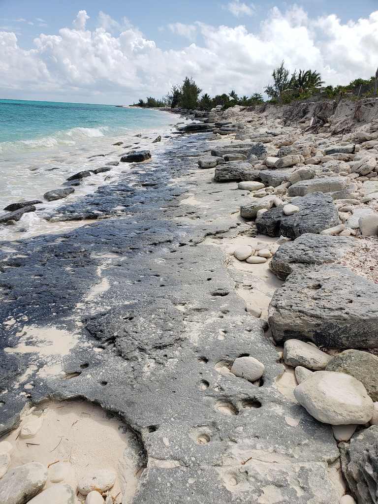 2019.03: TCI: North Caicos