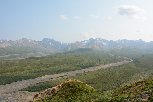 Alaska, Landscape in Denali National Park