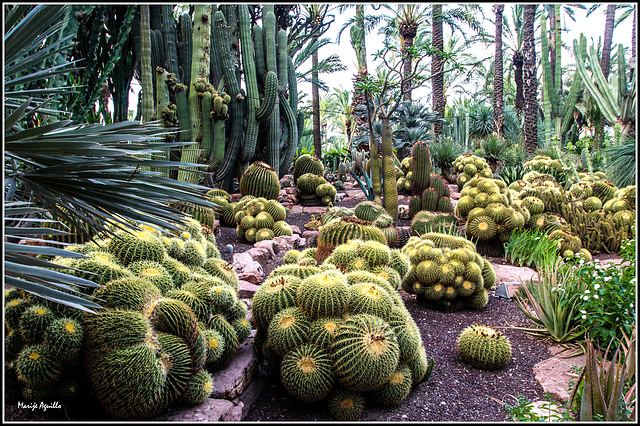 Jardín Huerto del Cura