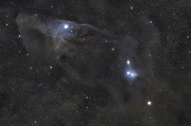 Blue Horse  Head Nebula IC4592 & Red Wine