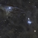 Blue Horse  Head Nebula IC4592 & Red Wine