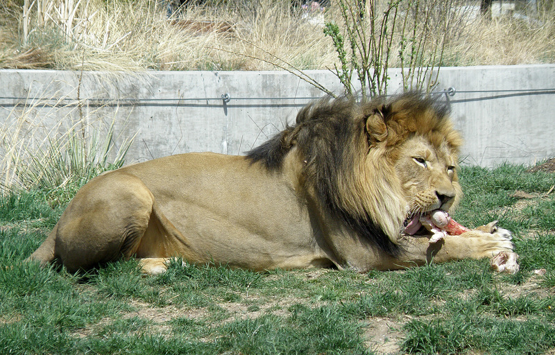 Feeling Hungry