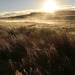 Misty marsh sunrise, Trotternish, Isle of Skye