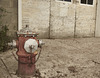 Mankota hydrant-desaturated