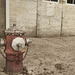 Mankota hydrant-desaturated