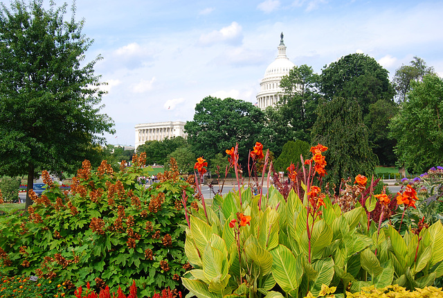 Capitol building, Washington