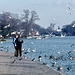 London Hyde Park 5th February 1977