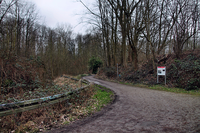 Talstraße (Wattenscheid-Höntrop) / 17.02.2024