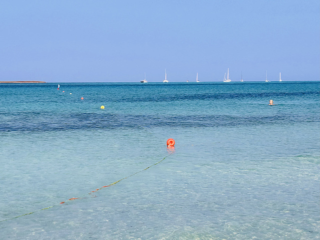 La Pelosa. La Pelosa.