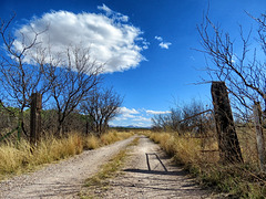 Just North Of Sonora