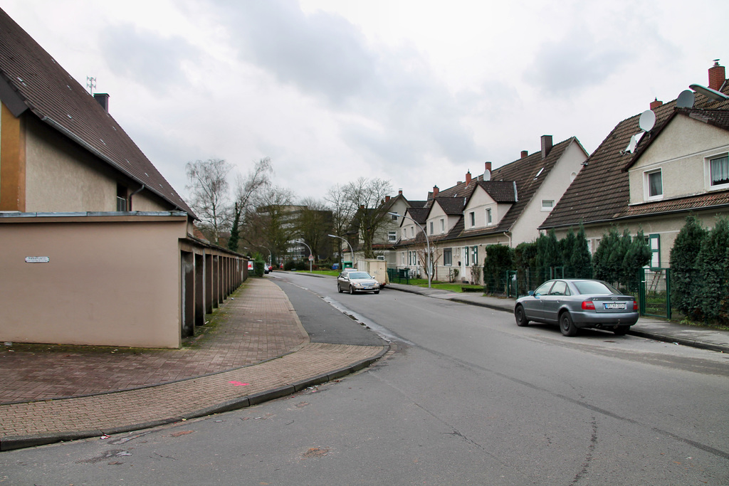 Beisenkampstraße (Siedlung Beisenkamp, Datteln) / 5.01.2018