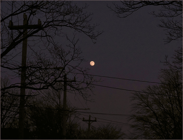 Moon in the NE sky yesterday afternoon