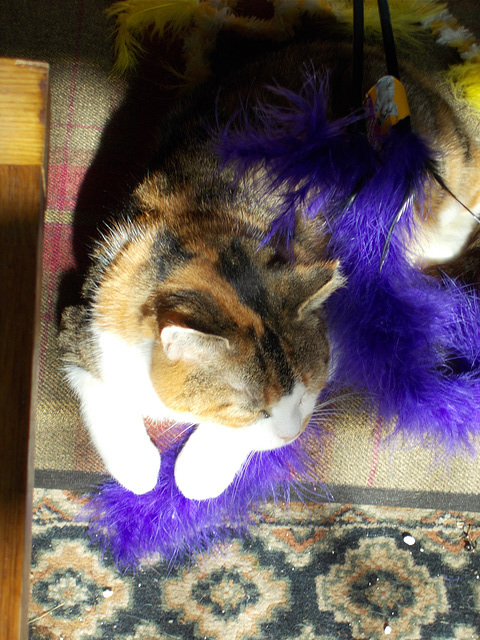 oad[B] - teaser {6 of 6}