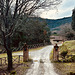 Umbrian country house.