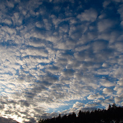 letztes Licht letztes Licht