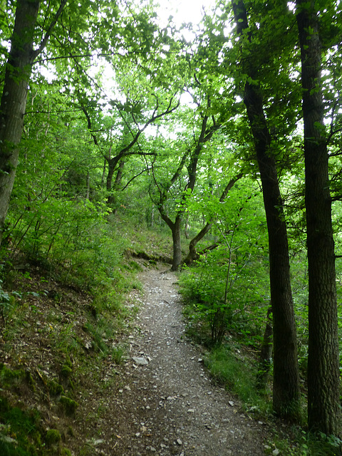 Auf dem Pyrmonter Felsensteig