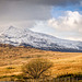 Snowdonia landscape. (1)