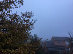 Brouillard dans la Drôme