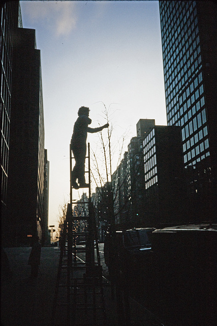 Xmas Lights Installation