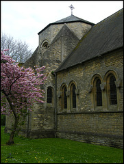 St Frideswide's in spring