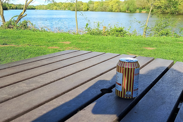 Table in the park! Table in the park!