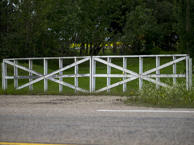 White Fence