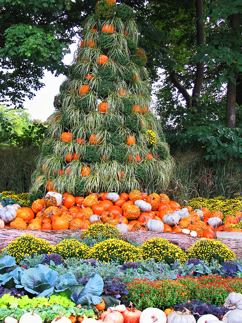 Fall Display