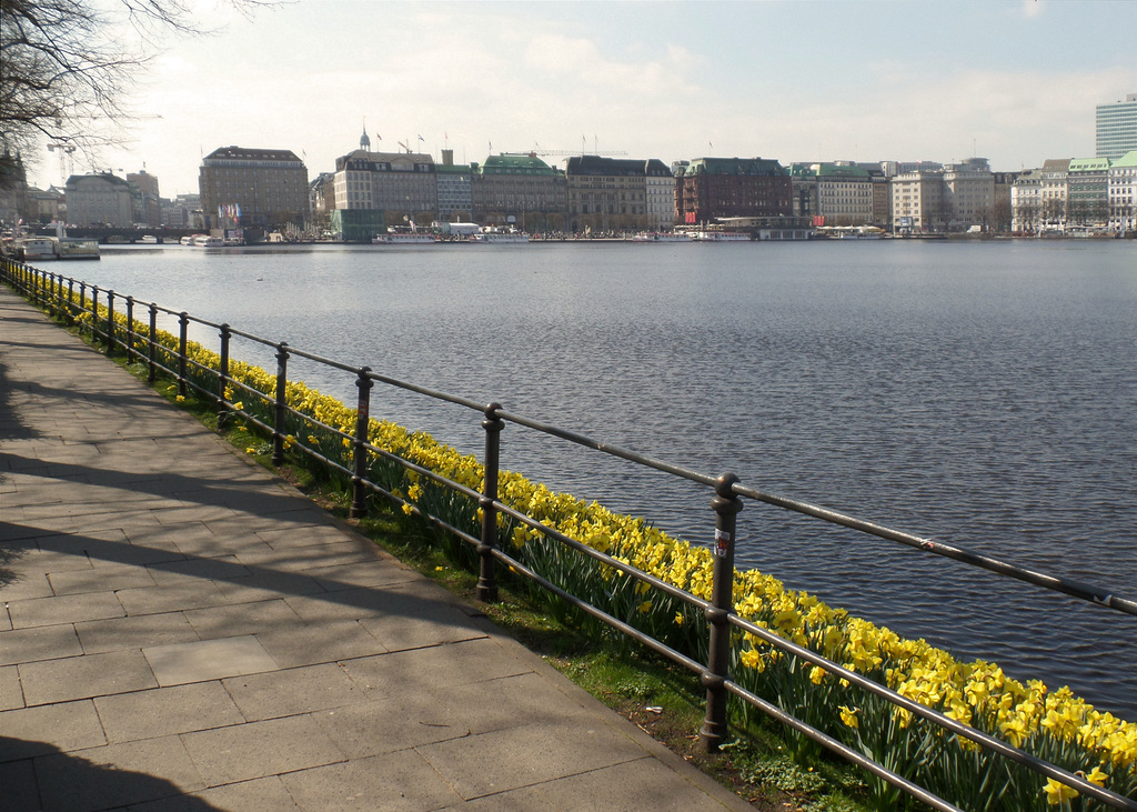 HFF aus Hamburg: An der Binnenalster