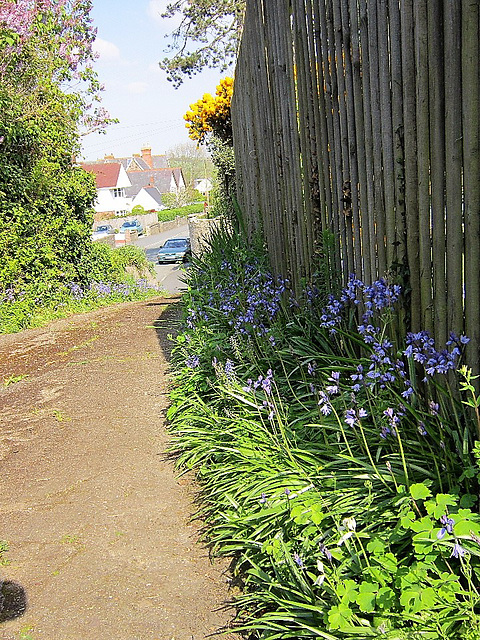 Looking down the drive towards the road