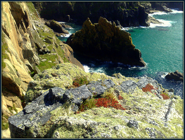 Bosigran Head. Granite, moss and lichen