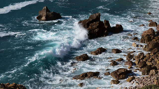 Costa Vicentina, Wildness