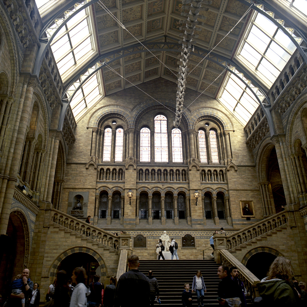 Hintze Hall