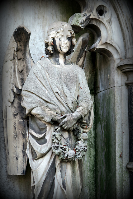 IMG 2316-001-Weeping Angel IMG 2316-001-Weeping Angel