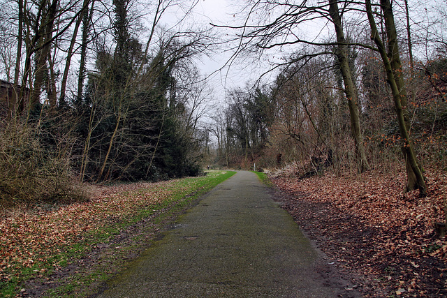 Wattenscheid-Höntrop / 17.02.2024