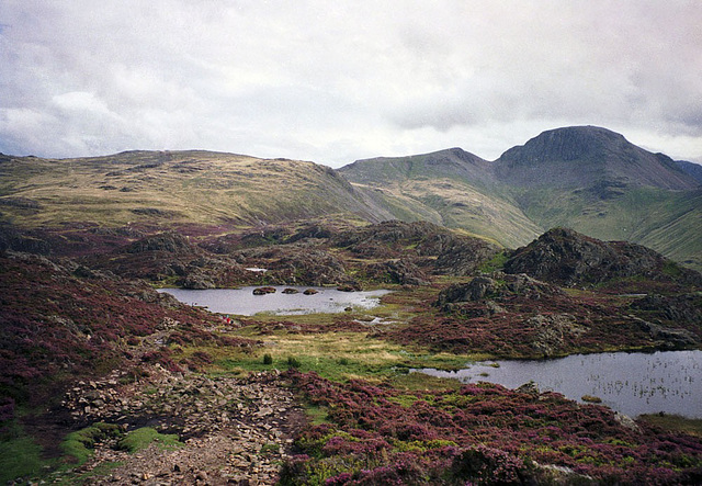 Looking over Innominate Tarn on Haystacks towards Great Gable (scan from Aug 1992)