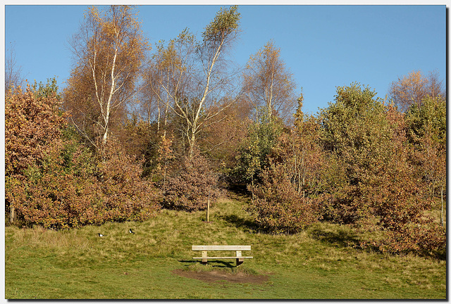 HBM~ A bench for Autumn