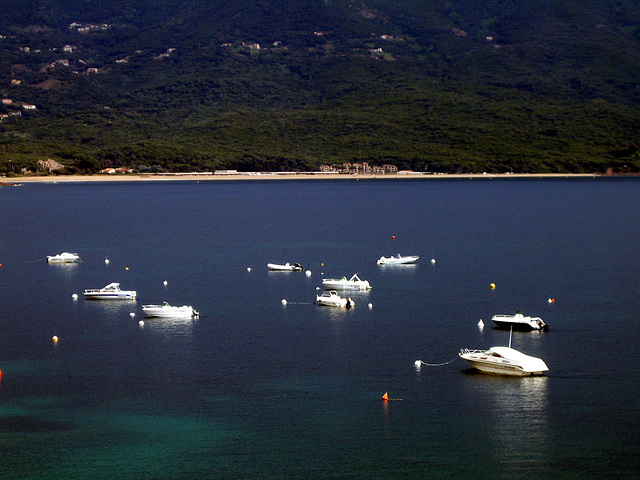 Tiuccia - Corse 2014