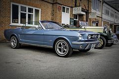 A very nice Mustang