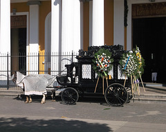Carriole funéraire à la Nica.
