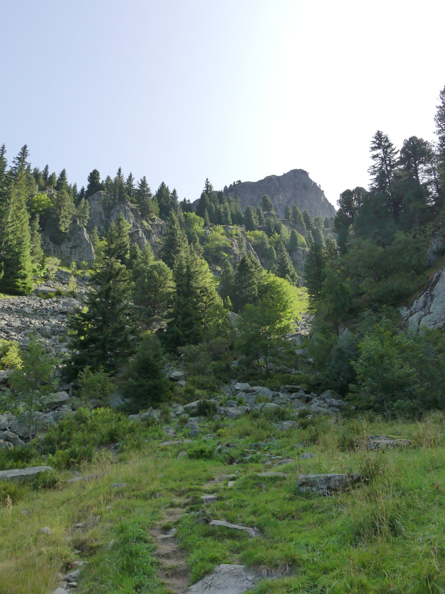 20170828 -31 Randos La Ferriere Massif Belledone (10) al