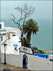 Sidi-Bou-Saïd (TN) Avril 2007. Le Café des Délices dans la grisaille.