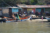 Venezuela, Puerto Colombia, Fishing Boat with a Catch Arrived at the Port