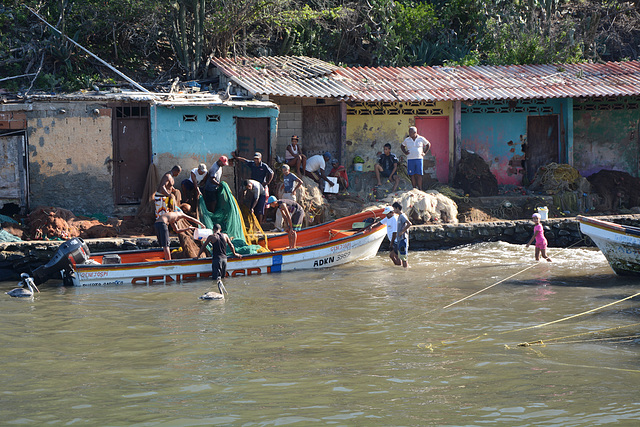 Venezuela, Puerto Colombia, Fishing Boat with a Catch Arrived at the Port