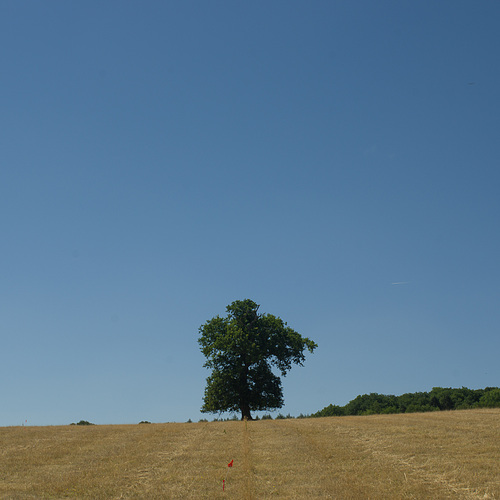 cloudless