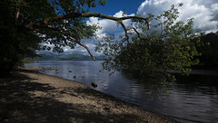 Outflow of Loch Lomond into the River Leven